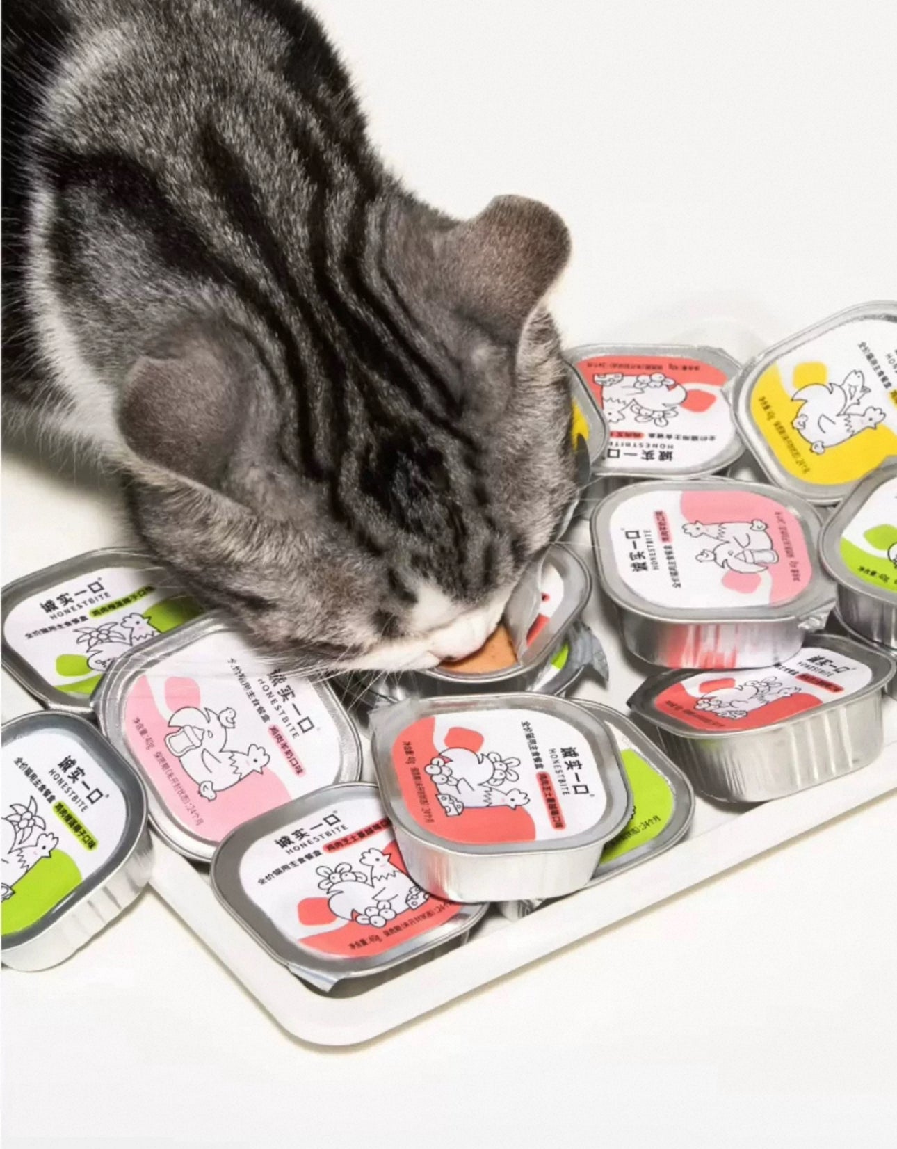 Honest Bite complete cat food
