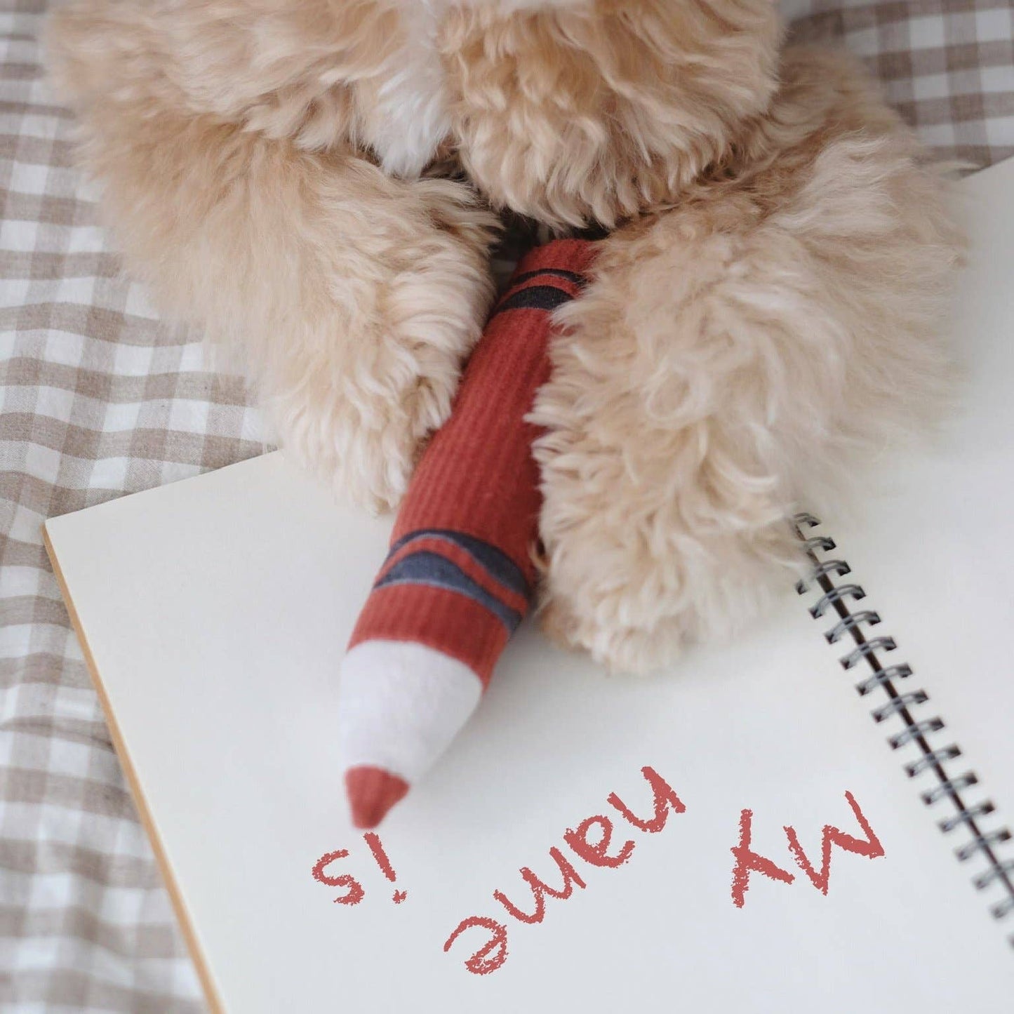CRAYONS // ENRICHMENT DOG TOY // Squeaky + Snuffle Set