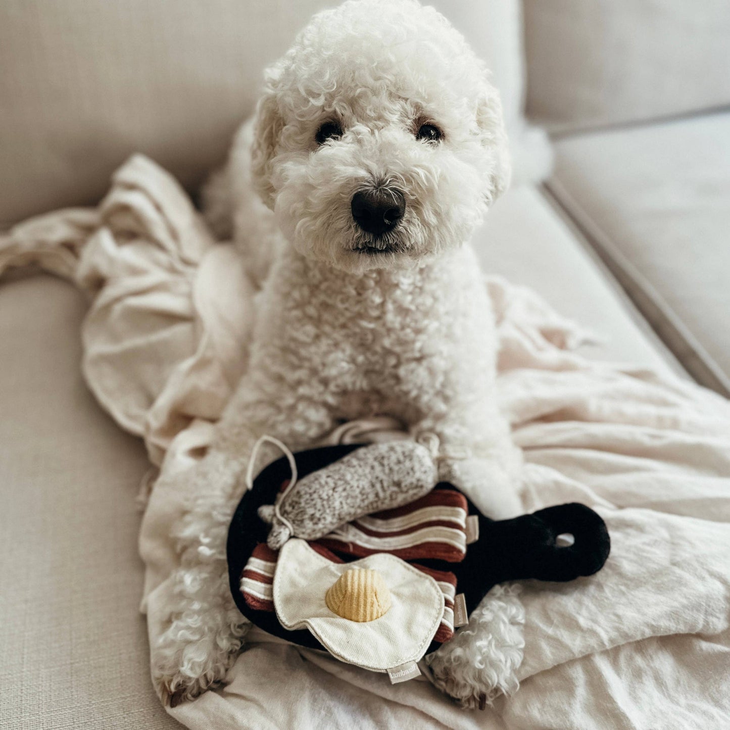 Bfast Set // ENRICHMENT DOG TOY // SNUFFLE TOY SET