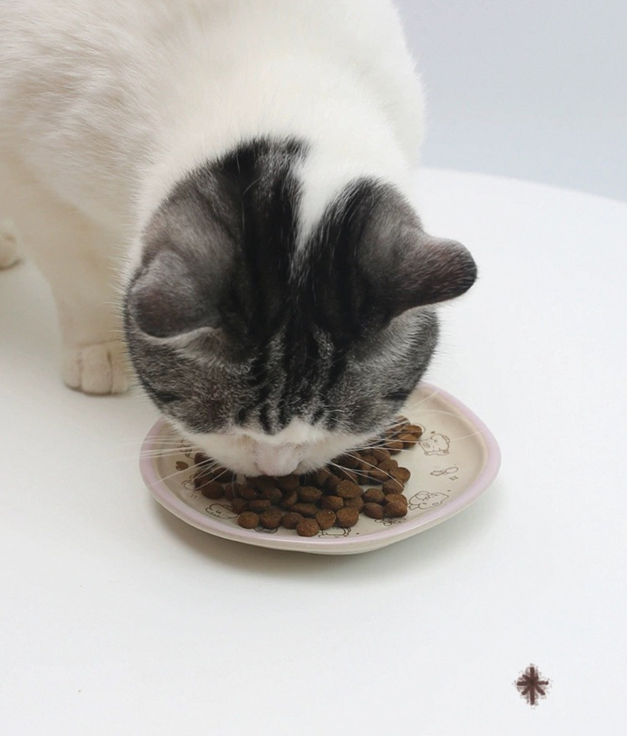 Perfect Dish