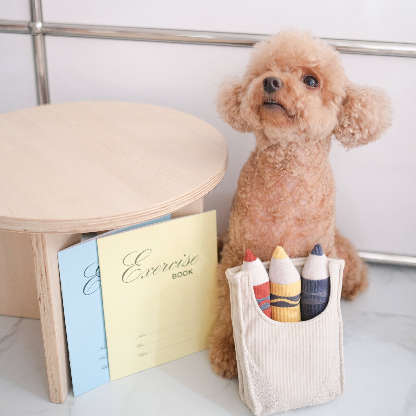 CRAYONS // ENRICHMENT DOG TOY // Squeaky + Snuffle Set