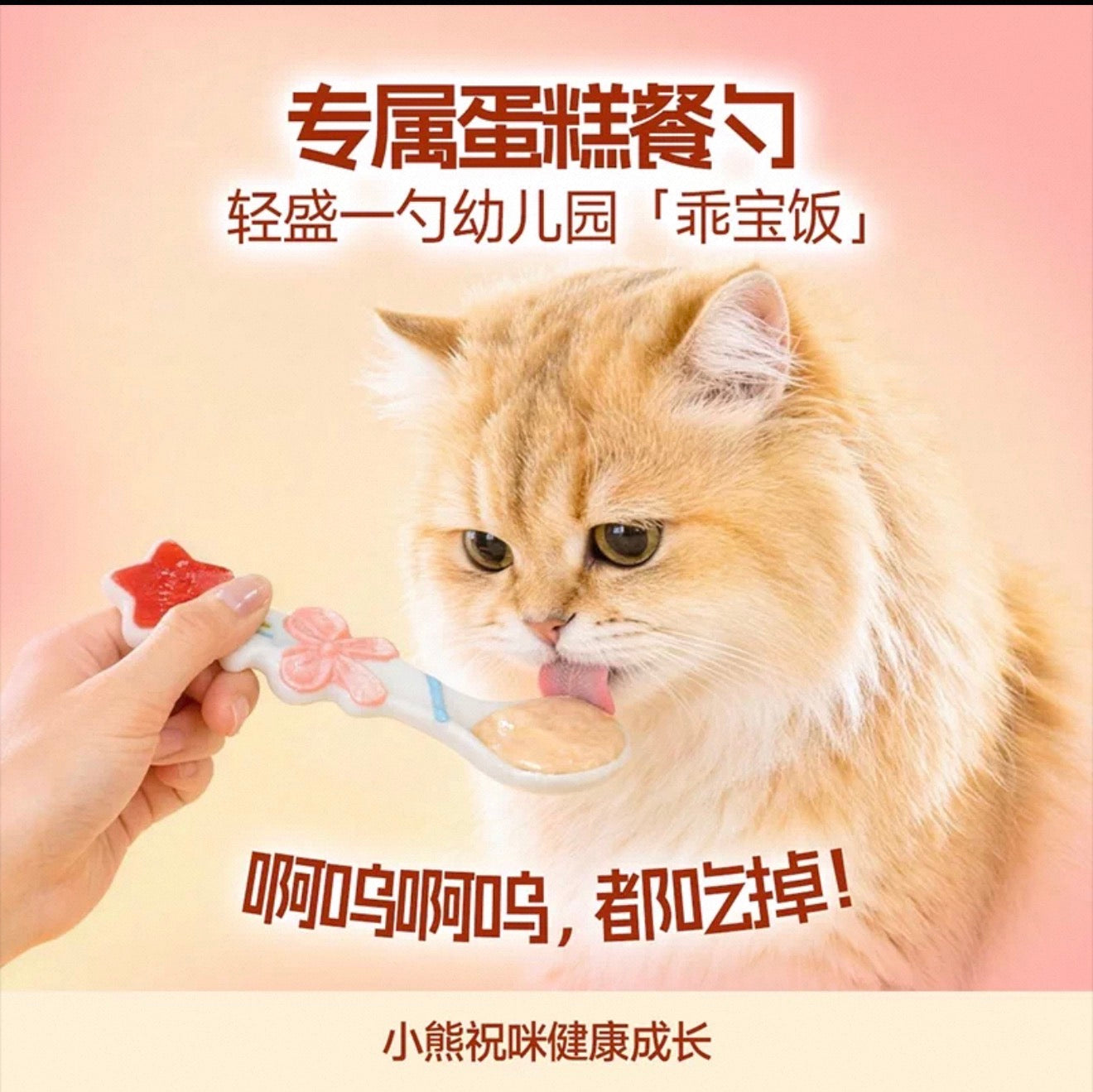 The Cats Travel Bear Kindergarten Dessert Party Set 🐱
