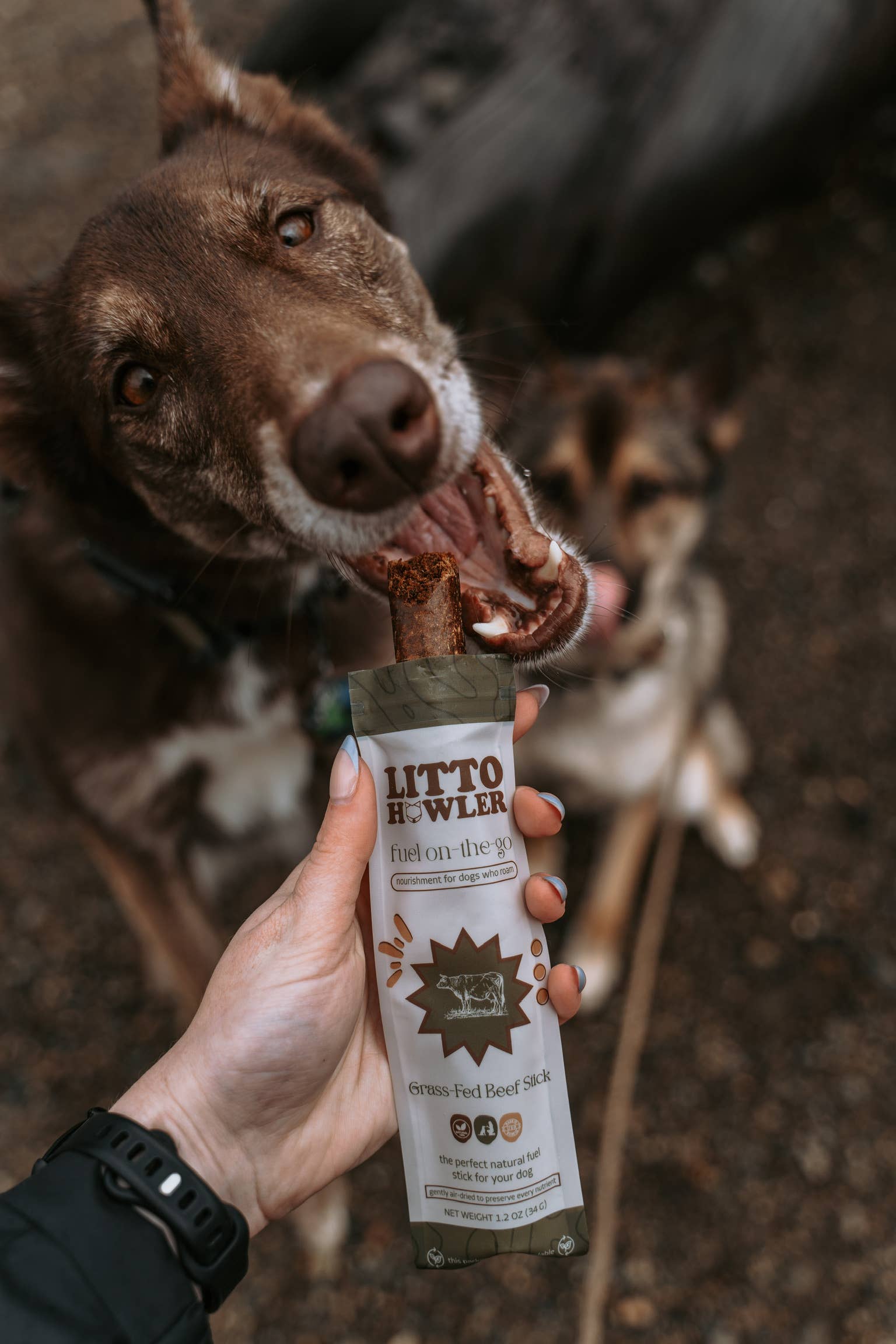 Litto Howler Grass-Fed Beef Stick