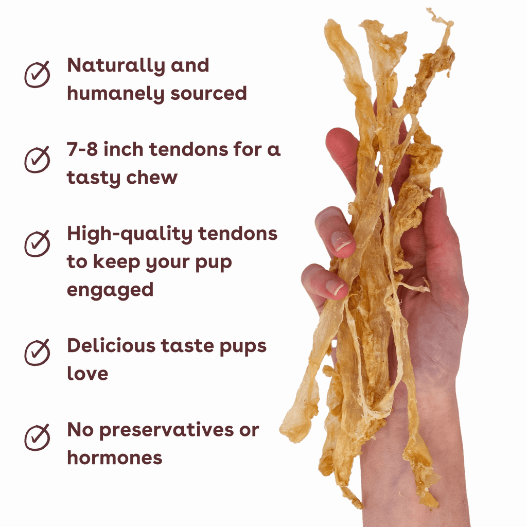 Turkey Tendon Dog Chews