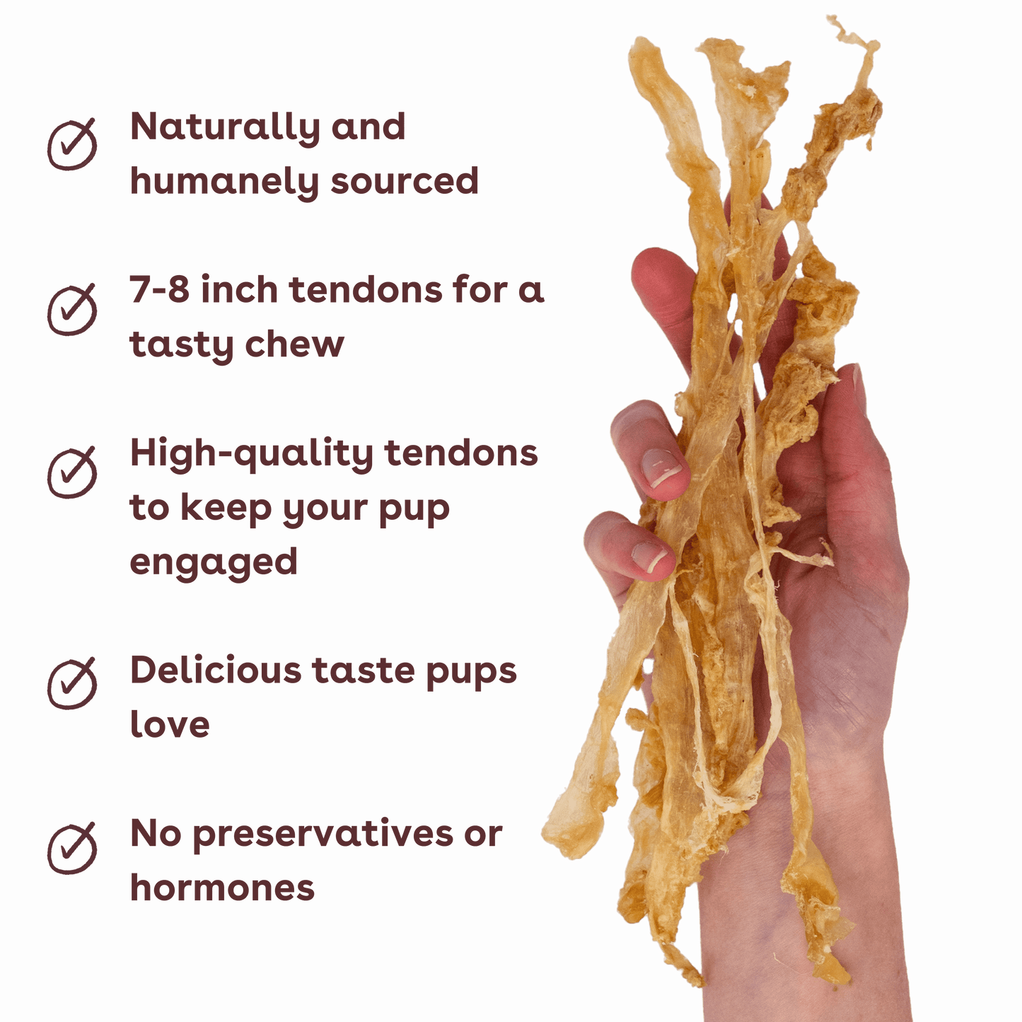 Turkey Tendon Dog Chews