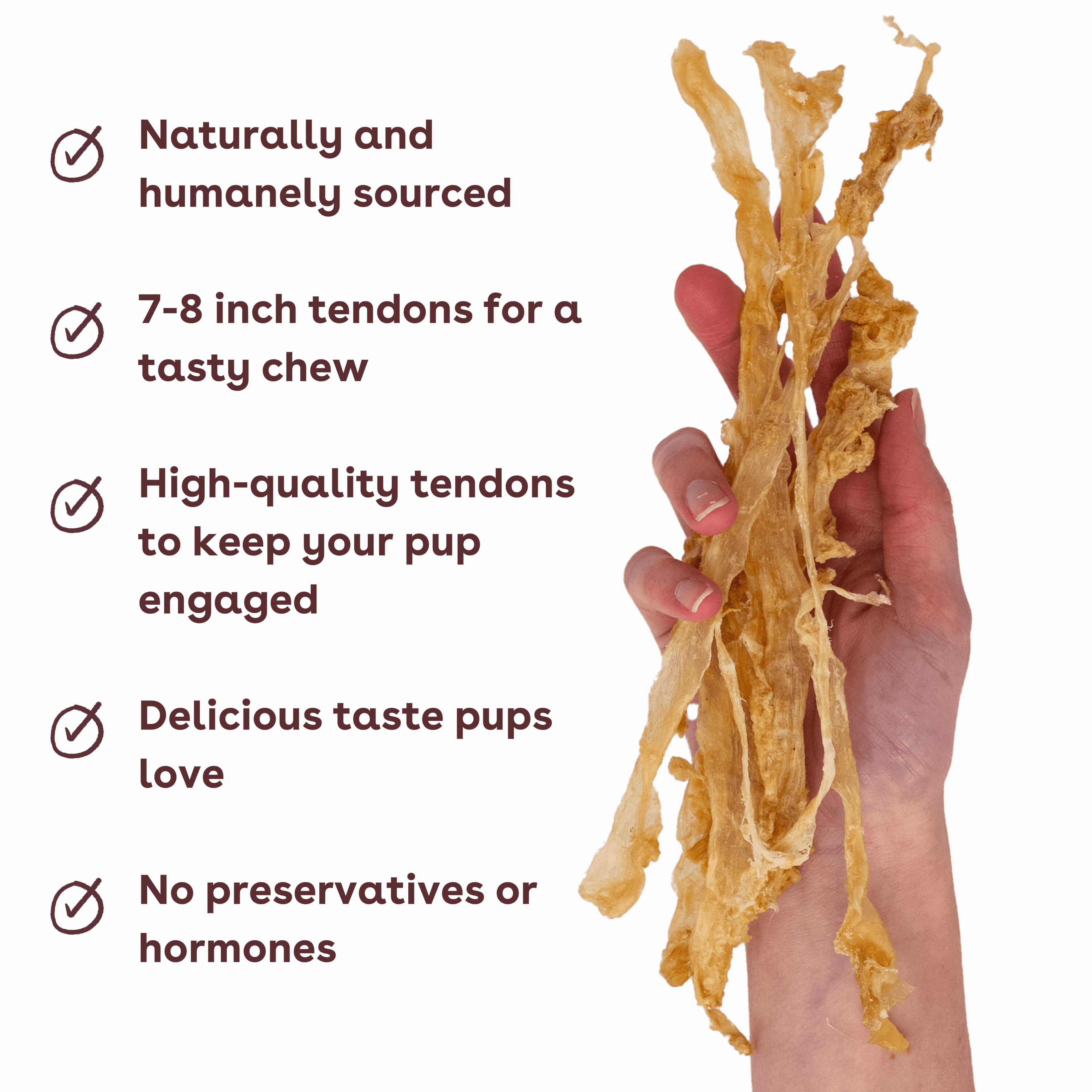 Turkey Tendon Dog Chews