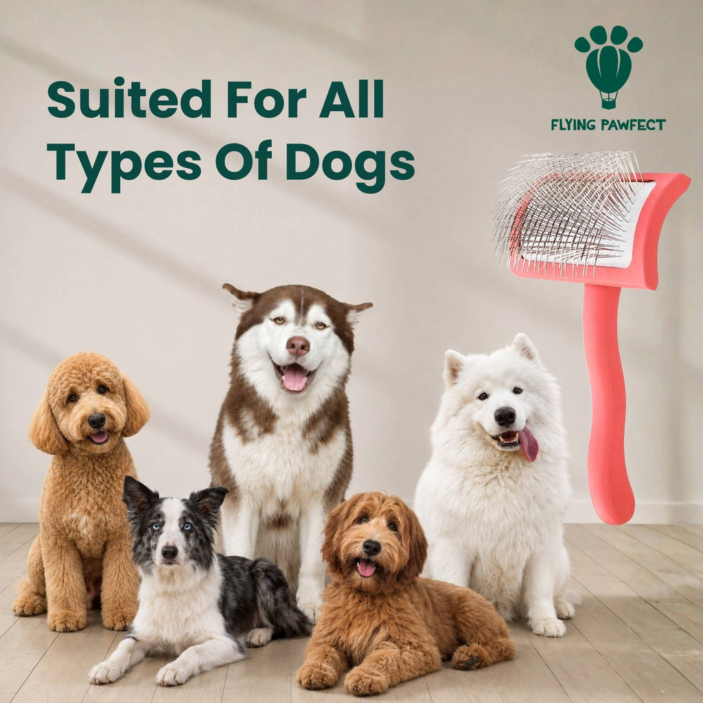 Pet Slicker Brush for Dogs and Cats, Curved Coral Medium