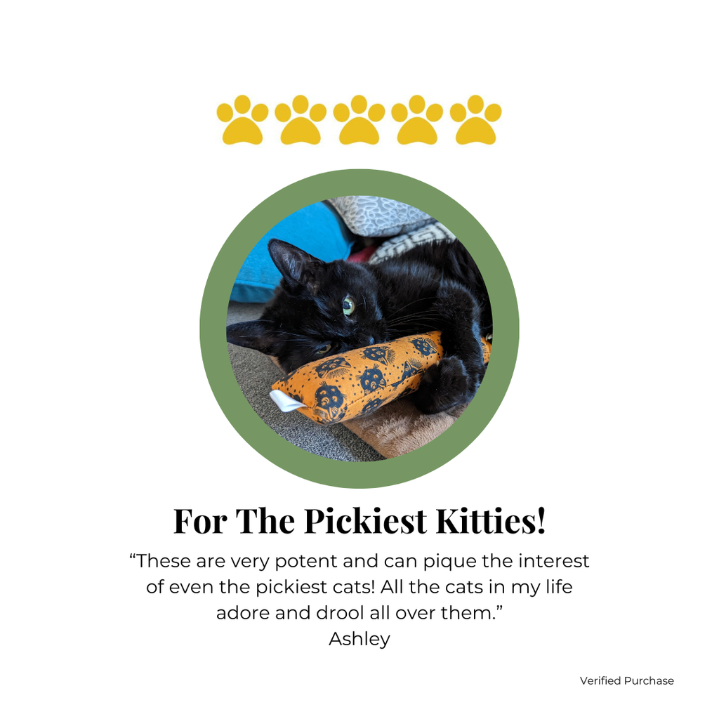 Catnip with Valerian Root Cat Toy | Halloween Black Cat