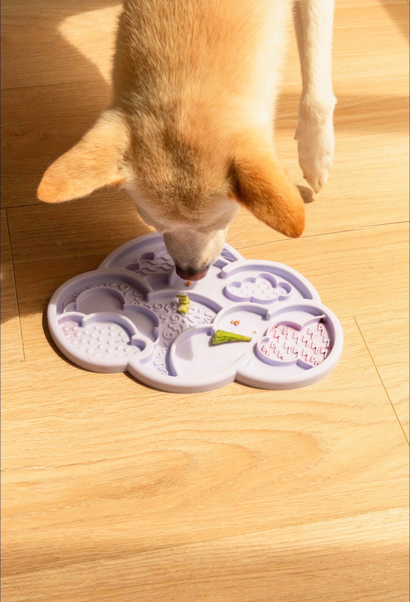 Ollie B Good Cloud Nine Lick Mat & Lid (preorder)