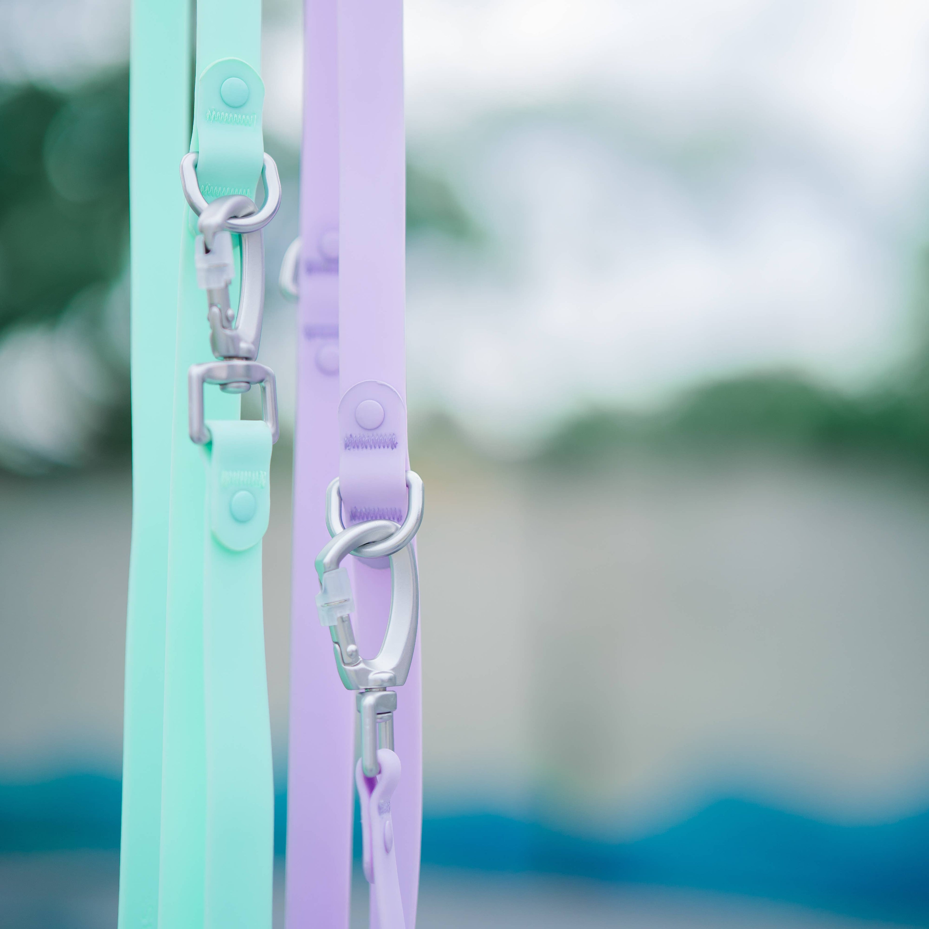 Roam Leash LITE | Matched To Jelly Harness