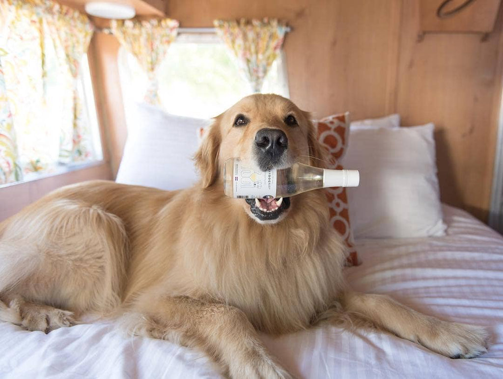PetWineShop DogWine CharDOGnay Liquid Supplement