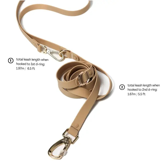 Roam Leash LITE | Matched To Jelly Harness