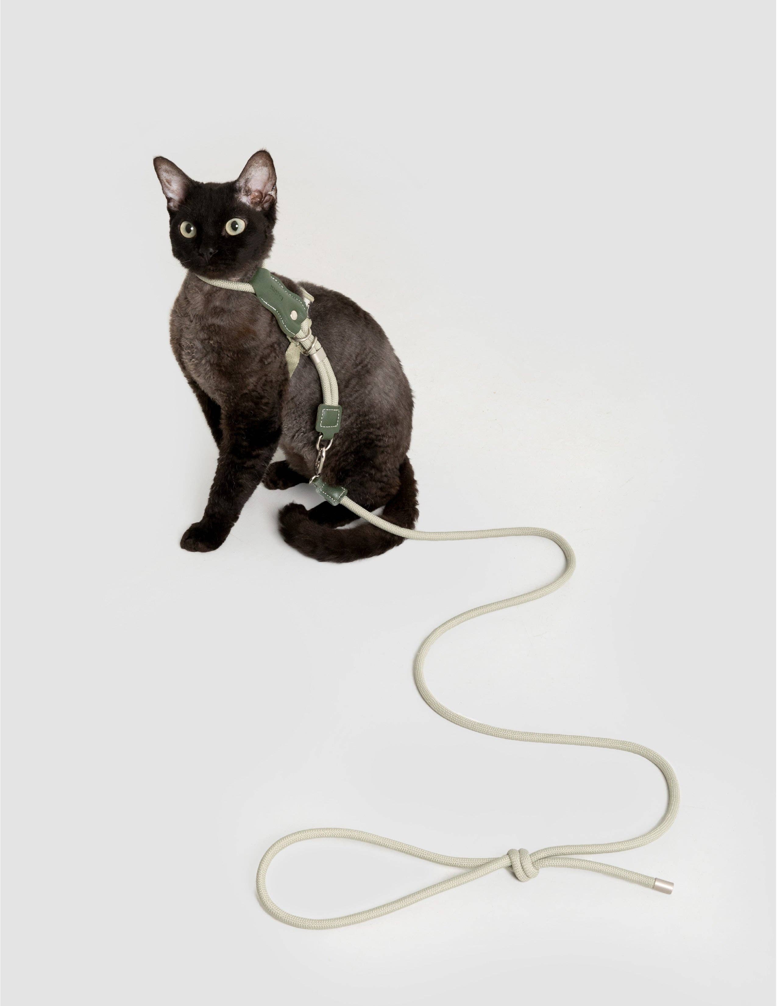 Escape Proof H-Shape Cat Harness and Leash Set Adjustable Ultra Lightweight Rope Walking Harness for Cats up to 17 lbs