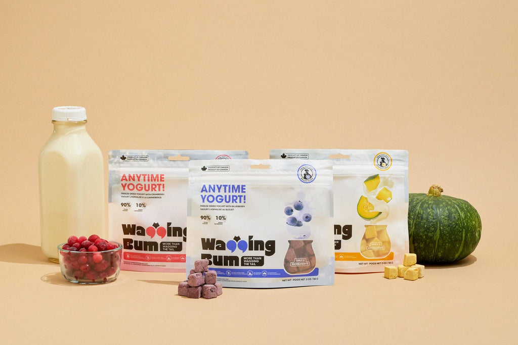 ANYTIME YOGURT! Freeze-dried Greek Yogurt with Pumpkin