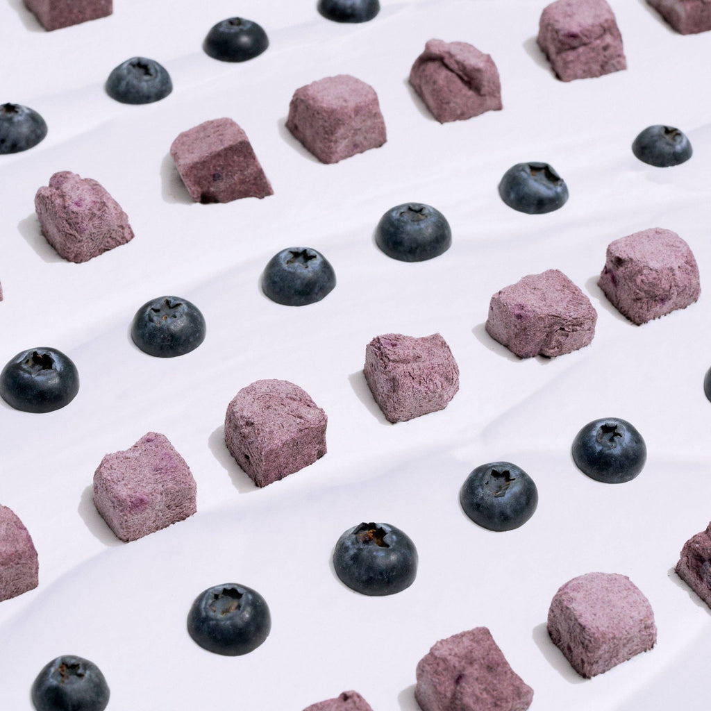 ANYTIME YOGURT! Freeze-dried Greek Yogurt with Blueberry