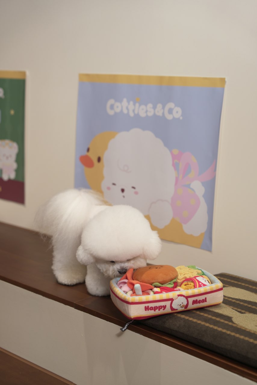 Cotties & Co Burger Box Snuffle Toy