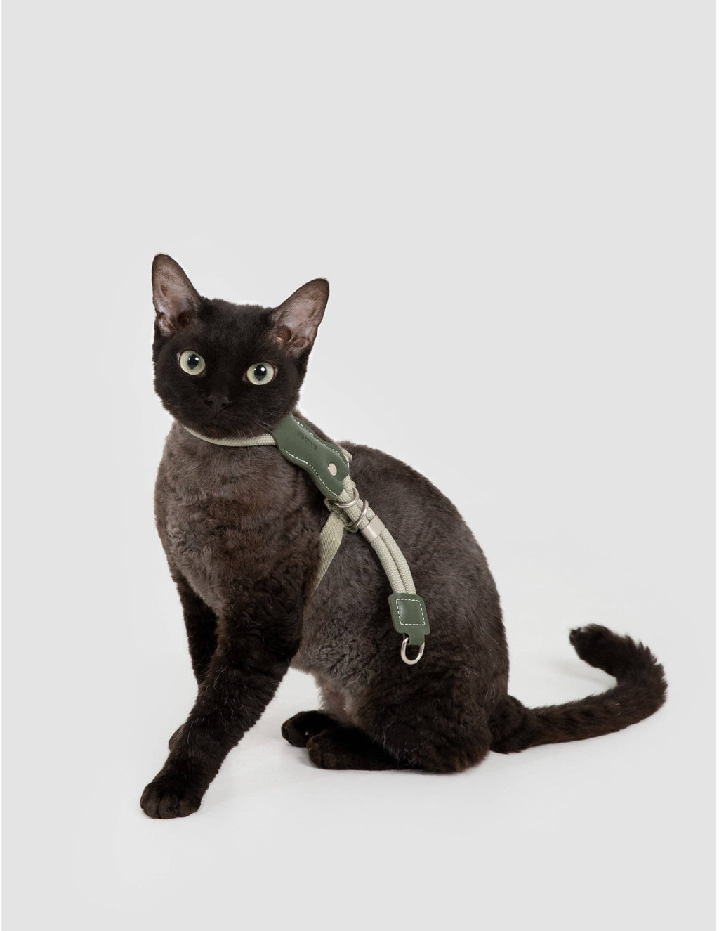 Escape Proof H-Shape Cat Harness and Leash Set Adjustable Ultra Lightweight Rope Walking Harness for Cats up to 17 lbs