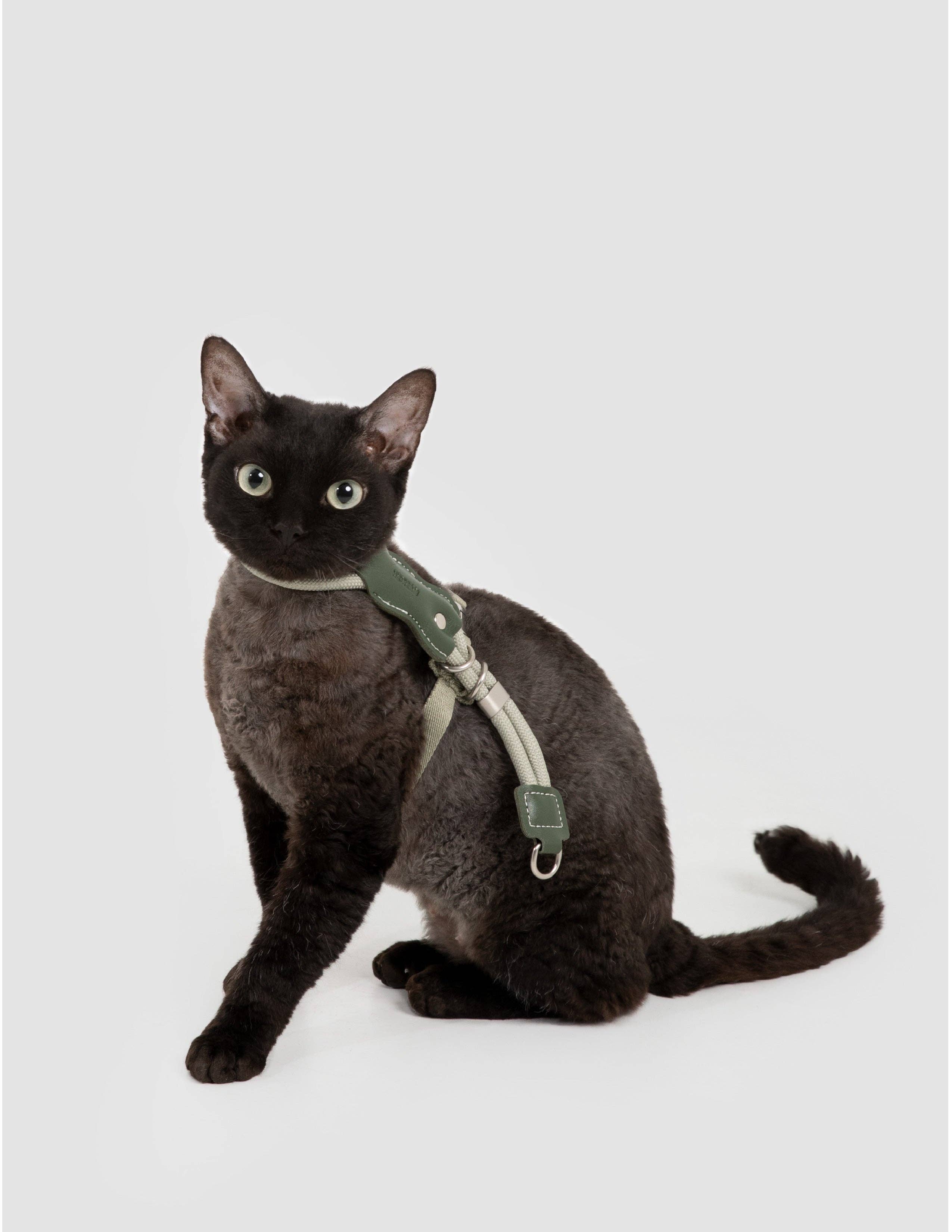 Escape Proof H-Shape Cat Harness and Leash Set Adjustable Ultra Lightweight Rope Walking Harness for Cats up to 17 lbs