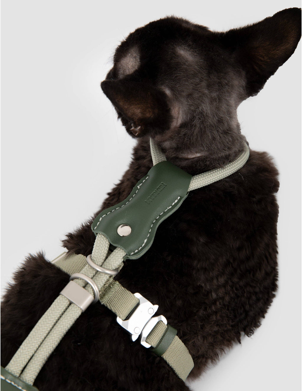 Escape Proof H-Shape Cat Harness and Leash Set Adjustable Ultra Lightweight Rope Walking Harness for Cats up to 17 lbs