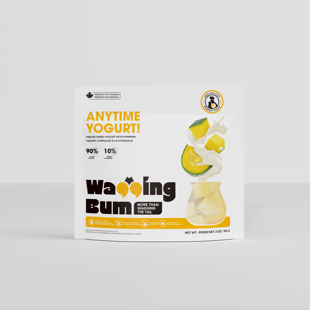 ANYTIME YOGURT! Freeze-dried Greek Yogurt with Pumpkin