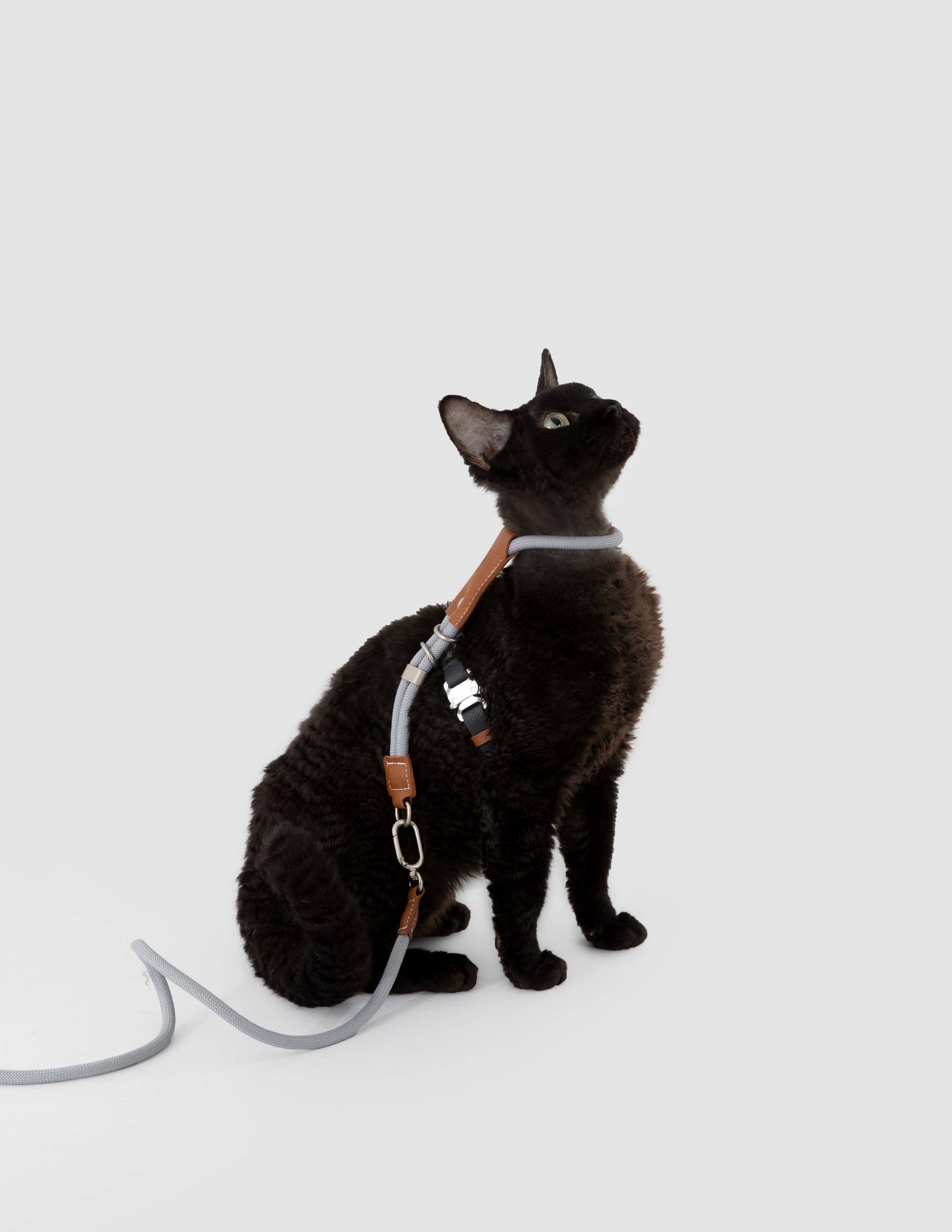 Escape Proof H-Shape Cat Harness and Leash Set Adjustable Ultra Lightweight Rope Walking Harness for Cats up to 17 lbs