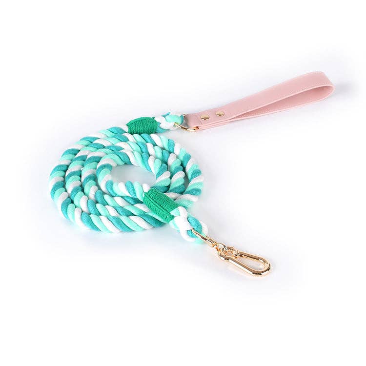 Loofie - Bright Dog Collar