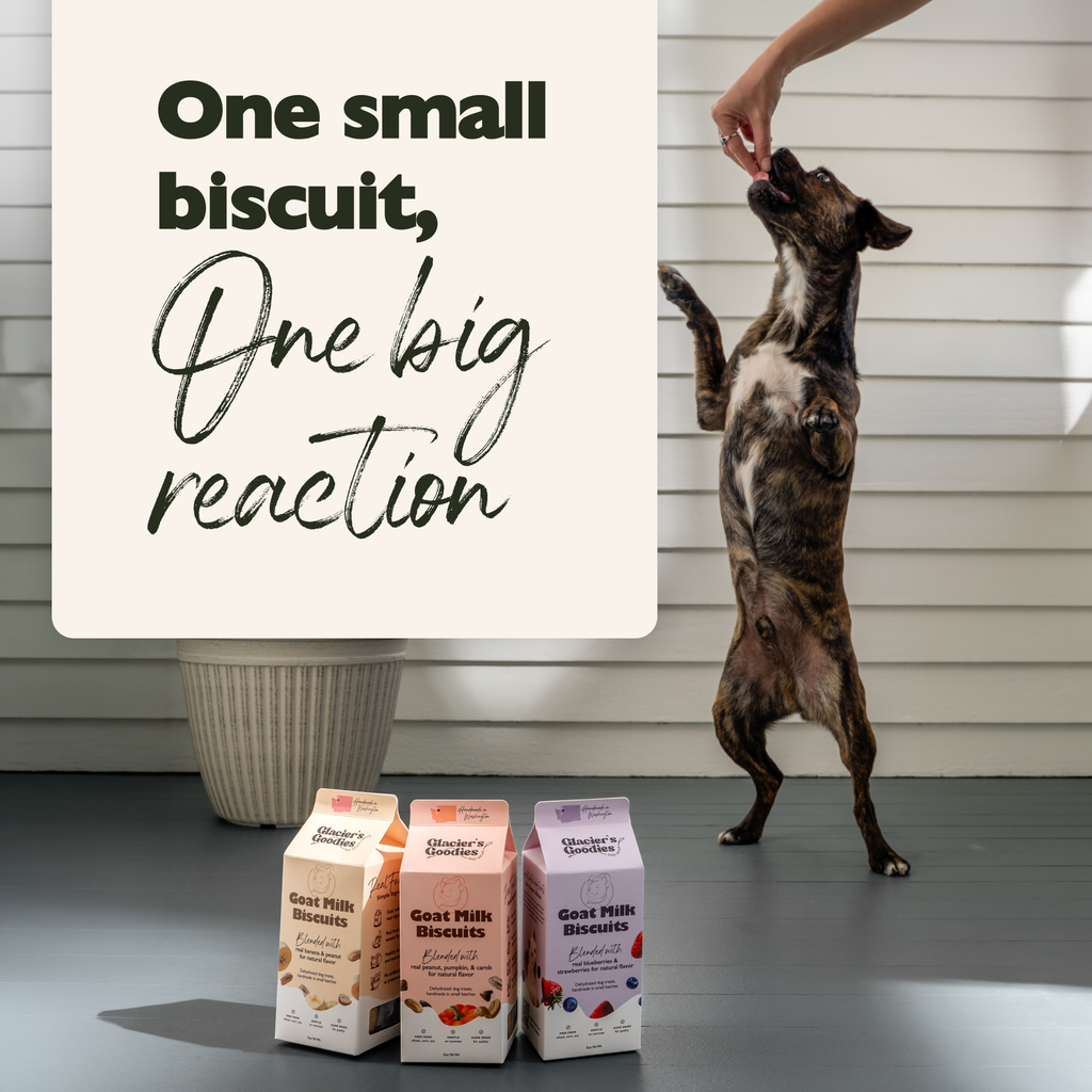 Goat Milk Dog Treats — Peanut, Pumpkin, and Carob