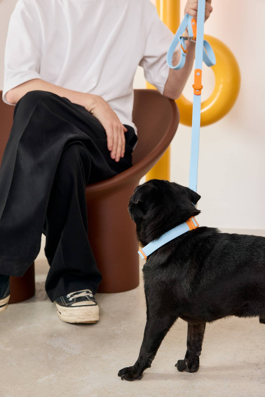 The Fritz Dog Collar 