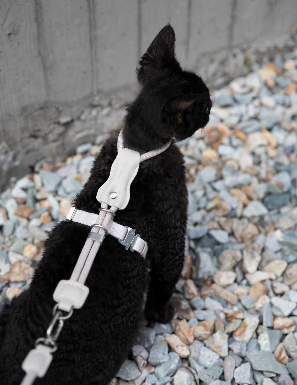 Escape Proof H-Shape Cat Harness and Leash Set Adjustable Ultra Lightweight Rope Walking Harness for Cats up to 17 lbs