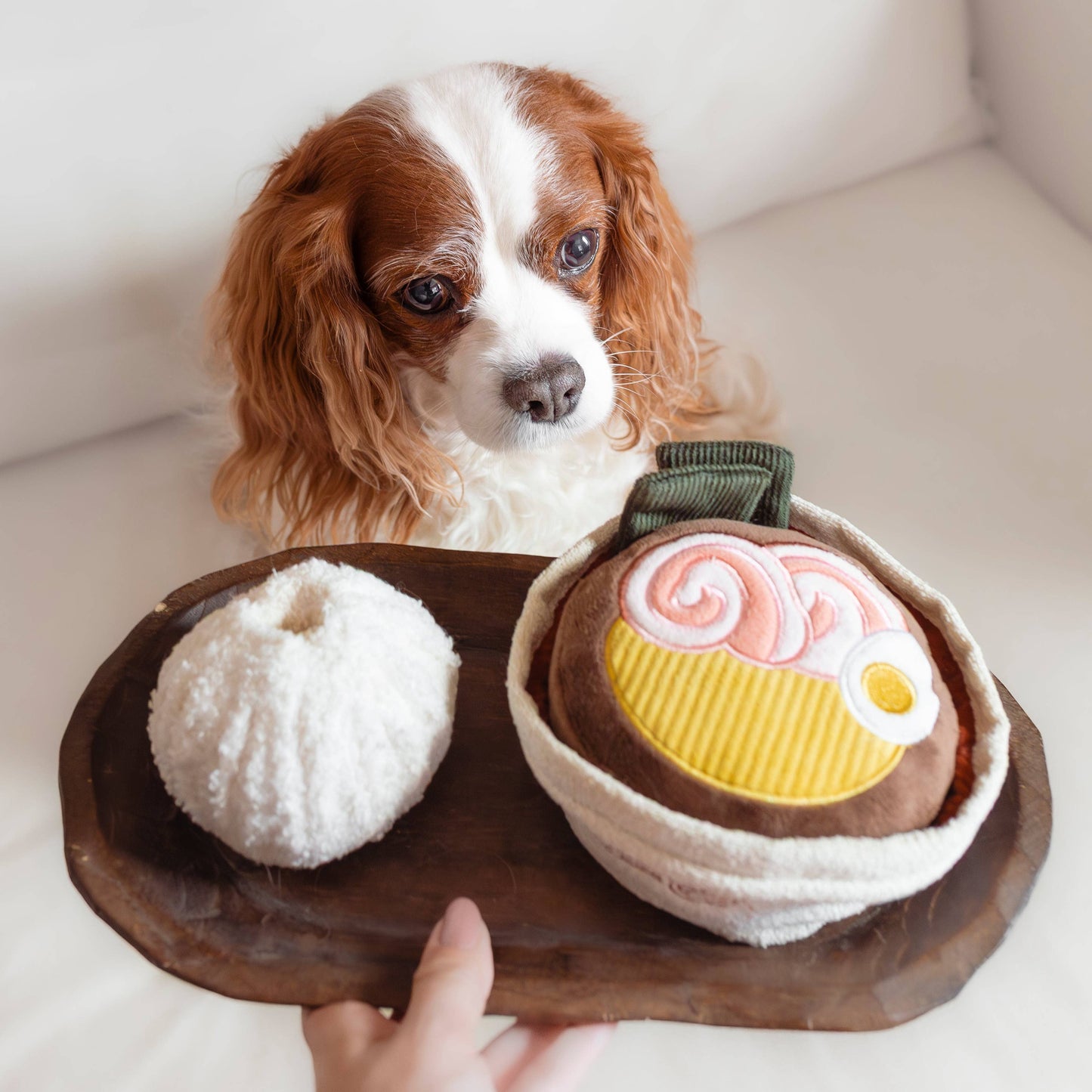 RAMEN // ENRICHMENT DOG TOY // Squeaky + Snuffle Toy
