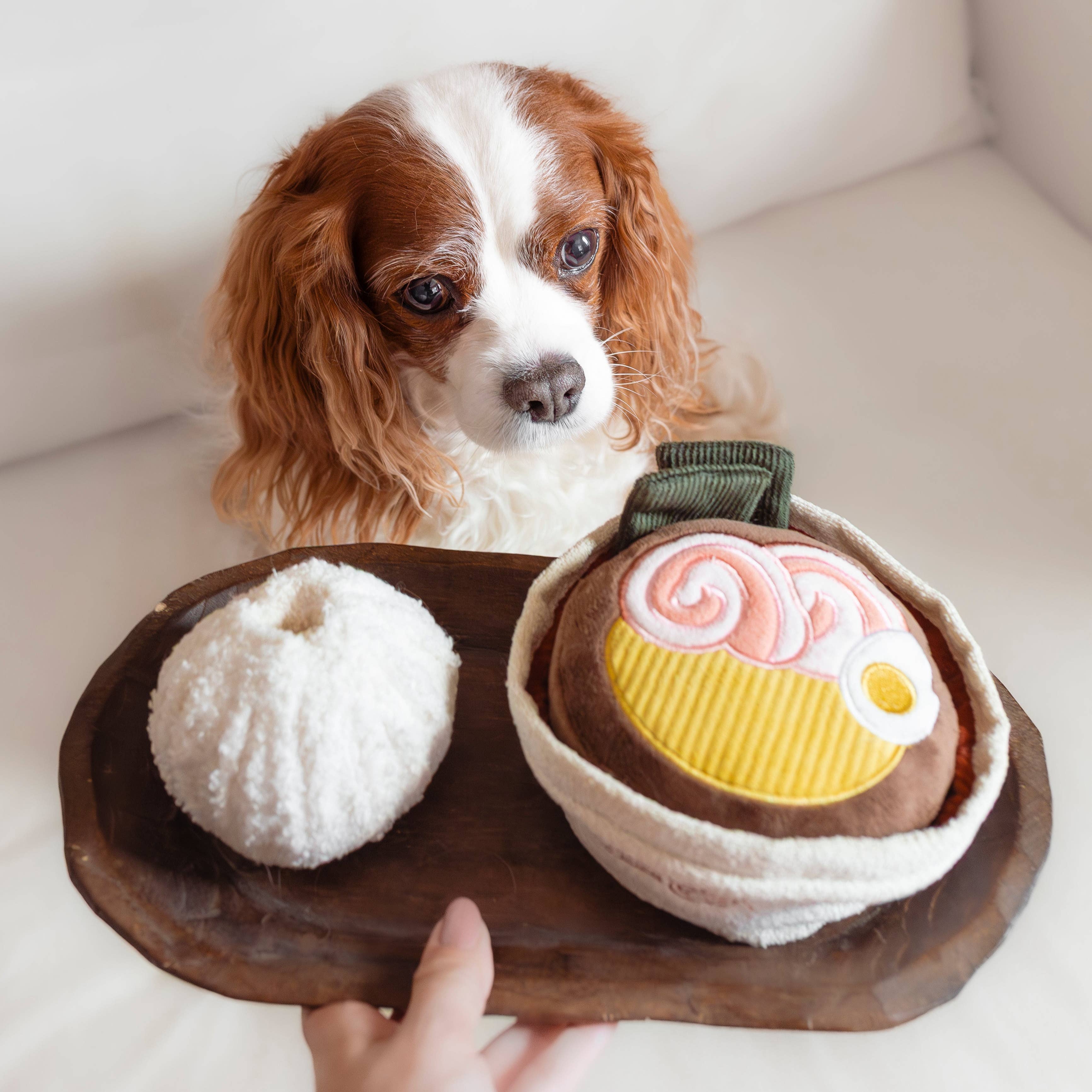 RAMEN // ENRICHMENT DOG TOY // Squeaky + Snuffle Toy