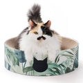 Cozy Cat Scratcher Bowl (Go Green)