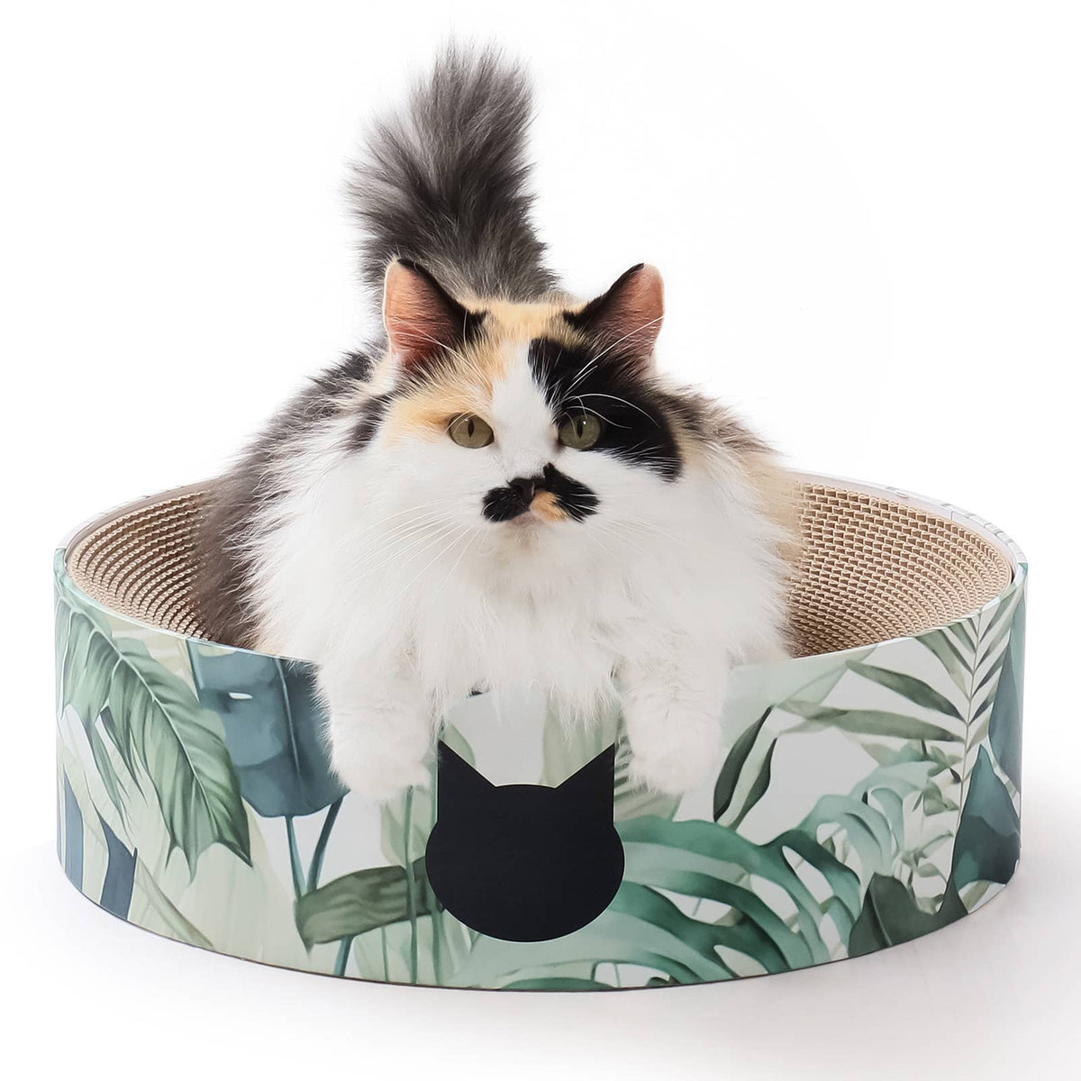 Cozy Cat Scratcher Bowl (Go Green)