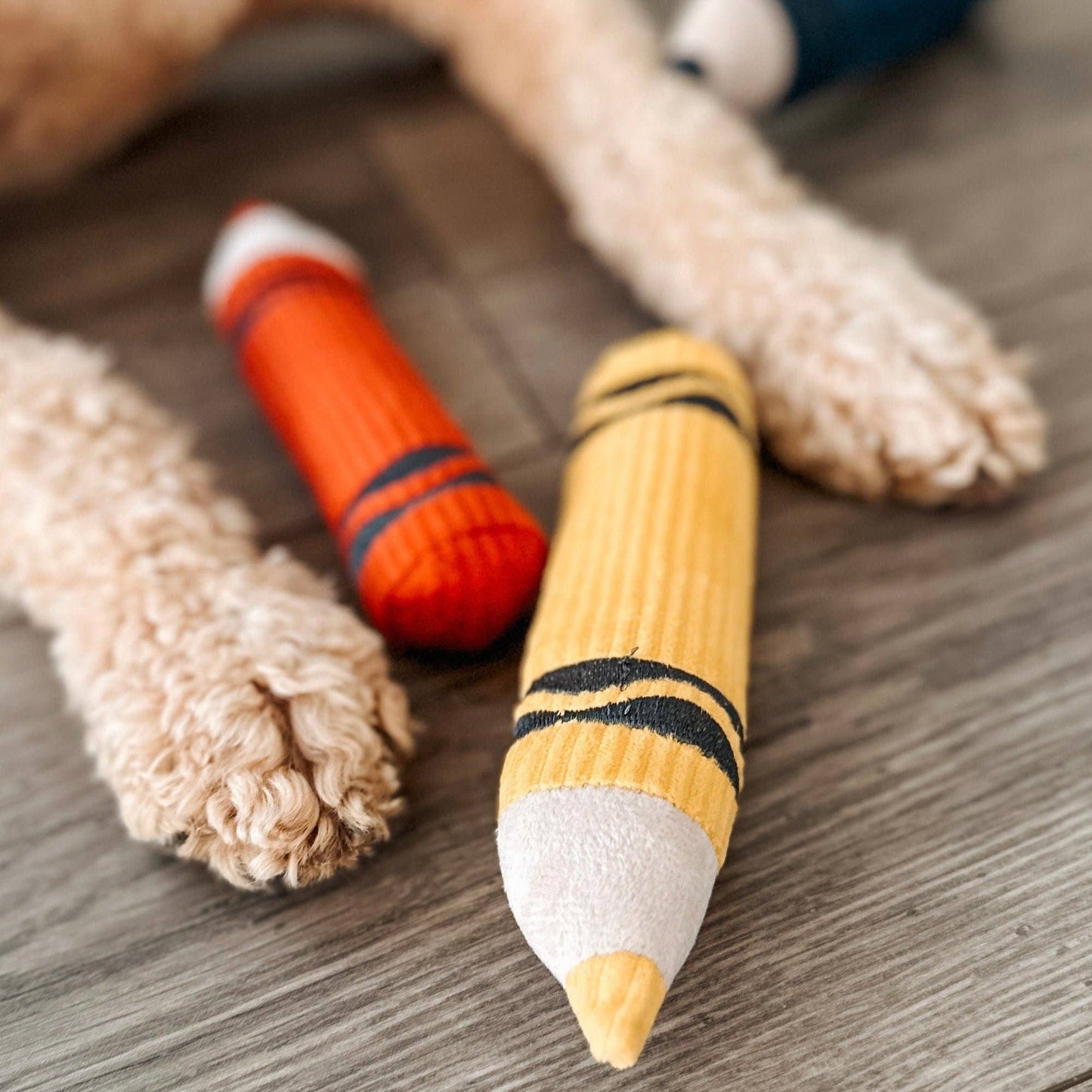 CRAYONS // ENRICHMENT DOG TOY // Squeaky + Snuffle Set