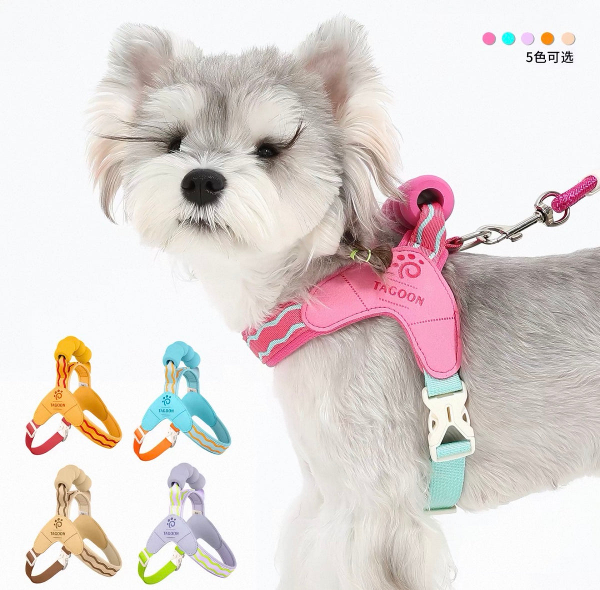 Tagoon Saddle Harness with Leash Set