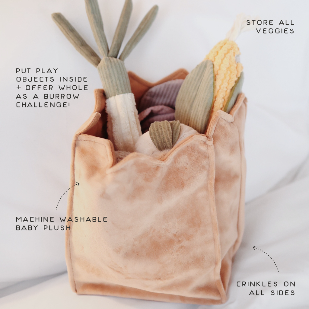 FARMER'S MARKET SET // ENRICHMENT TOY SET// SNUFFLE TOY SET