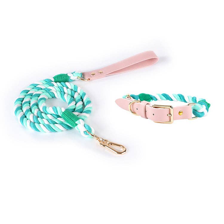 Loofie - Bright Dog Collar