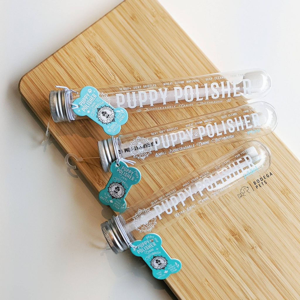 Puppy Polisher Eco Toothbrush - Medium