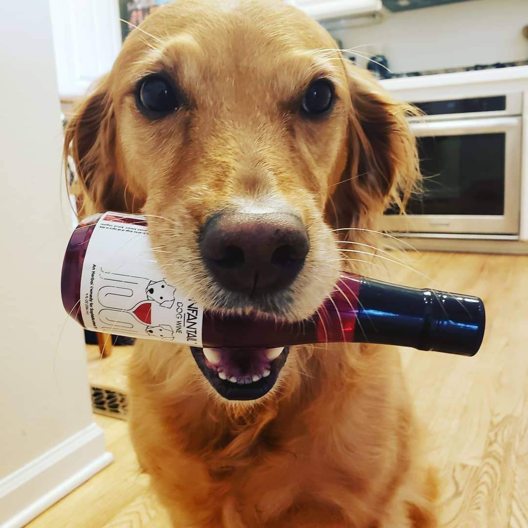 PetWineShop DogWine Zinfantail Liquid Supplement