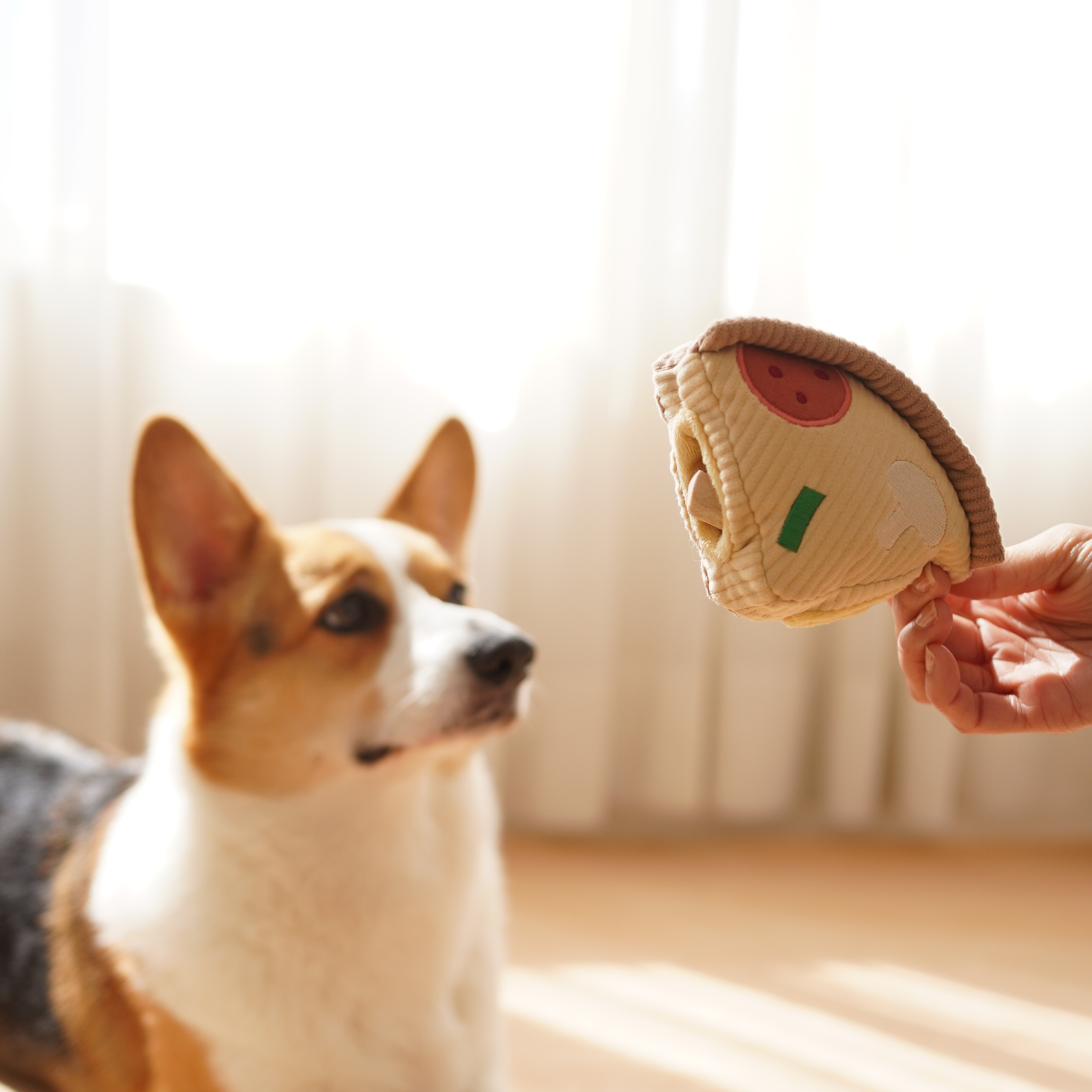DEEP DISH PIZZA // ENRICHMENT DOG TOY // Squeaky + Snuffle