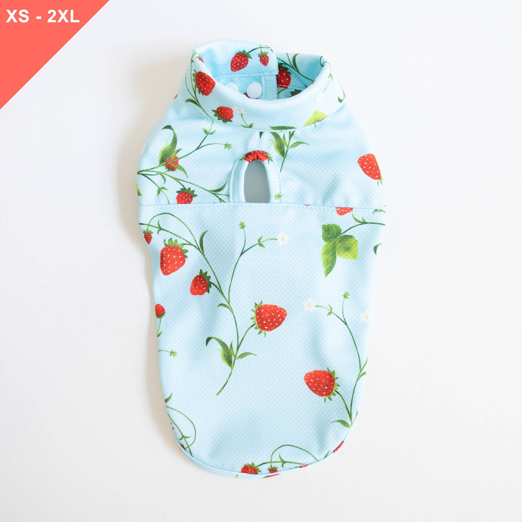 LCB Strawberry Cooling Jacket