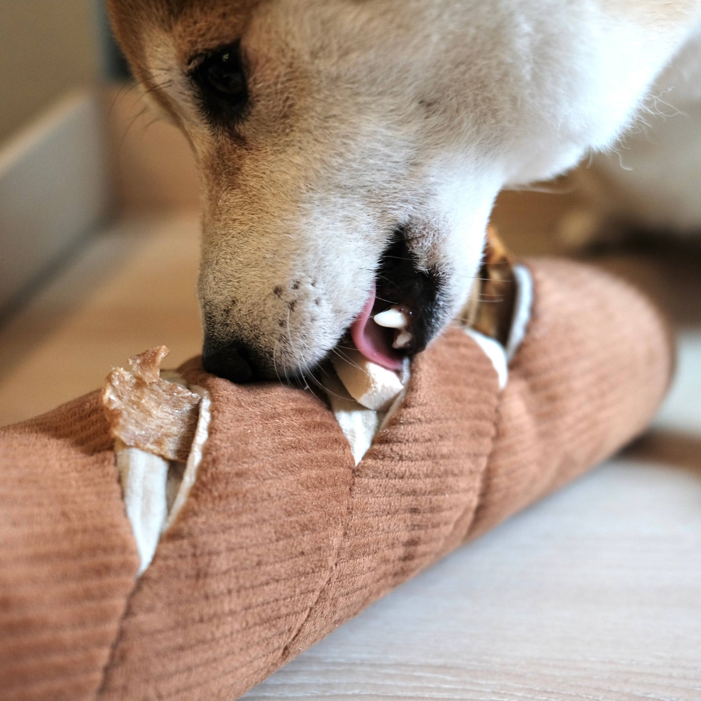 BAGUETTE // ENRICHMENT DOG TOY // SNUFFLE  *Best*