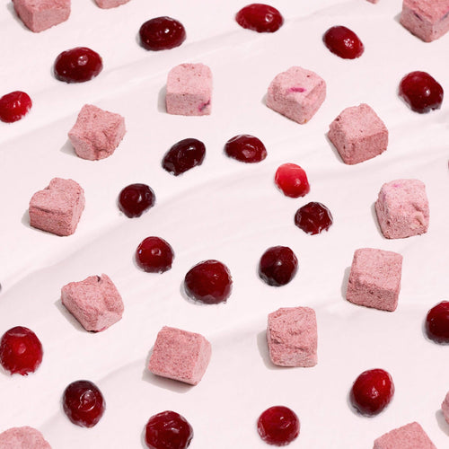 ANYTIME YOGURT! Freeze-dried Greek Yogurt with Cranberry