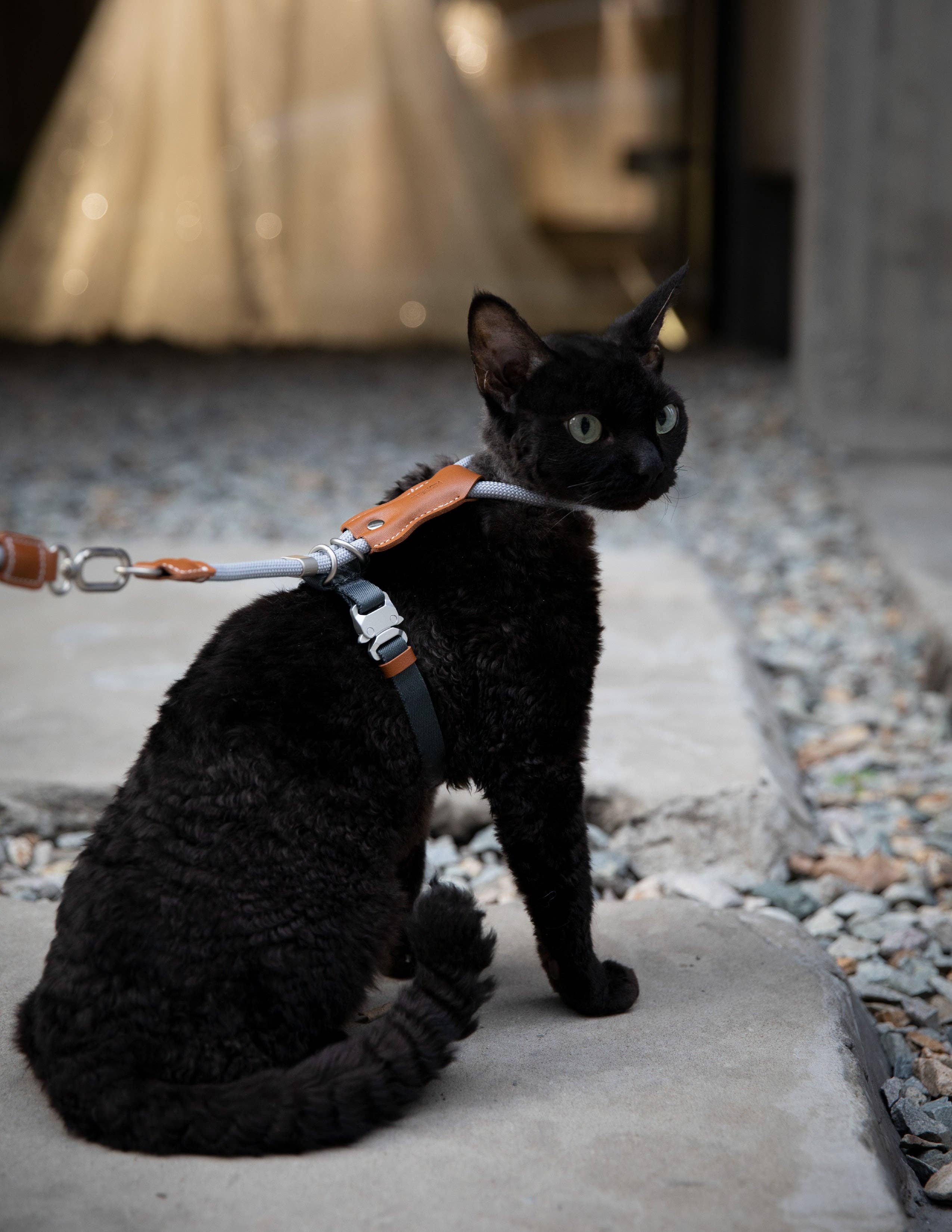 Escape Proof H-Shape Cat Harness and Leash Set Adjustable Ultra Lightweight Rope Walking Harness for Cats up to 17 lbs