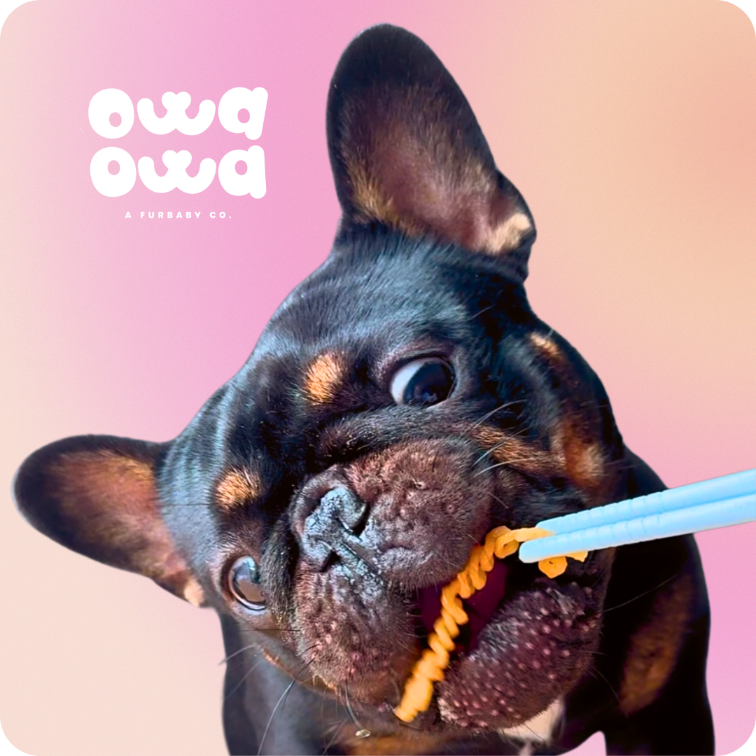 Owa Owa Noodles – Chicken