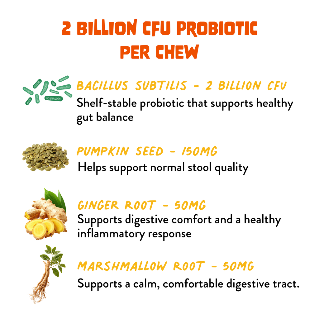 Probiotic+ Soft Chews for Dogs - Digestive Support, Gut Health