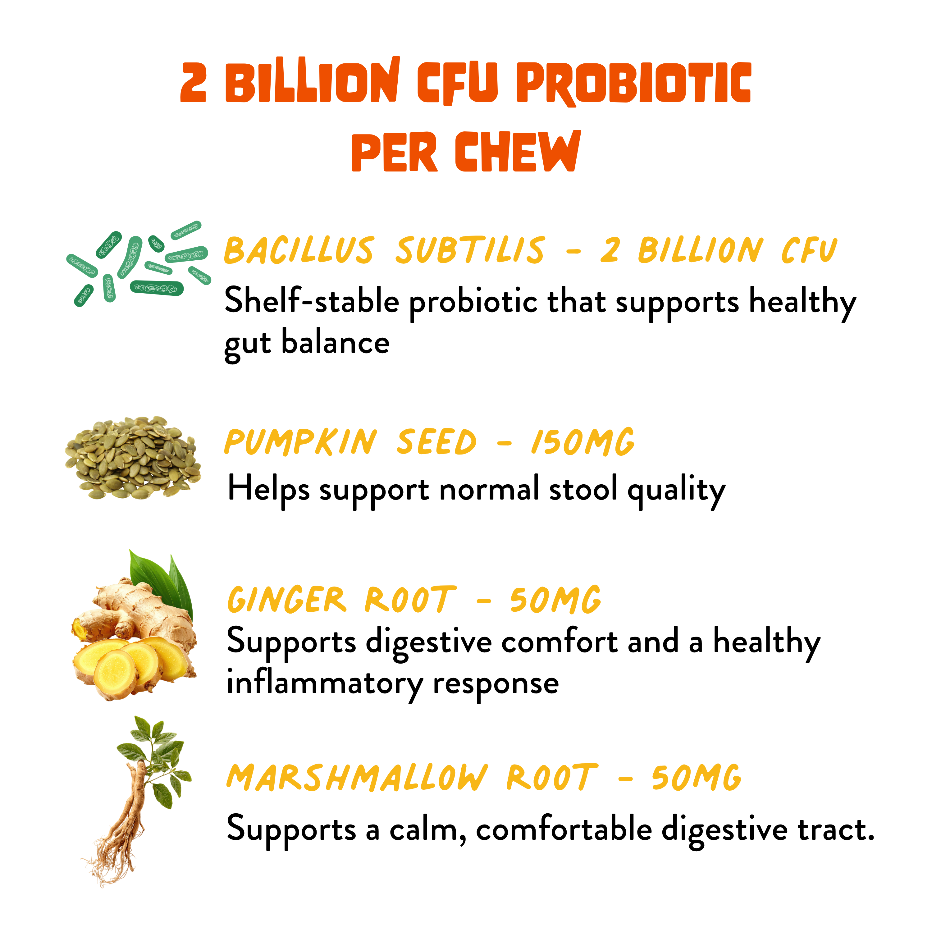 Probiotic+ Soft Chews for Dogs - Digestive Support, Gut Health