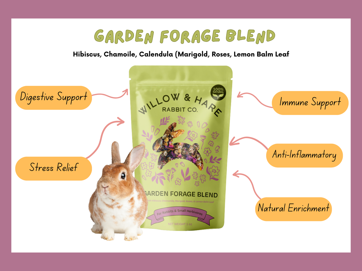 Garden Forage Blend - Multiple Sizes Available!