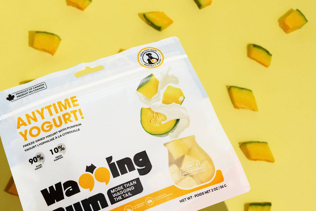 ANYTIME YOGURT! Freeze-dried Greek Yogurt with Pumpkin