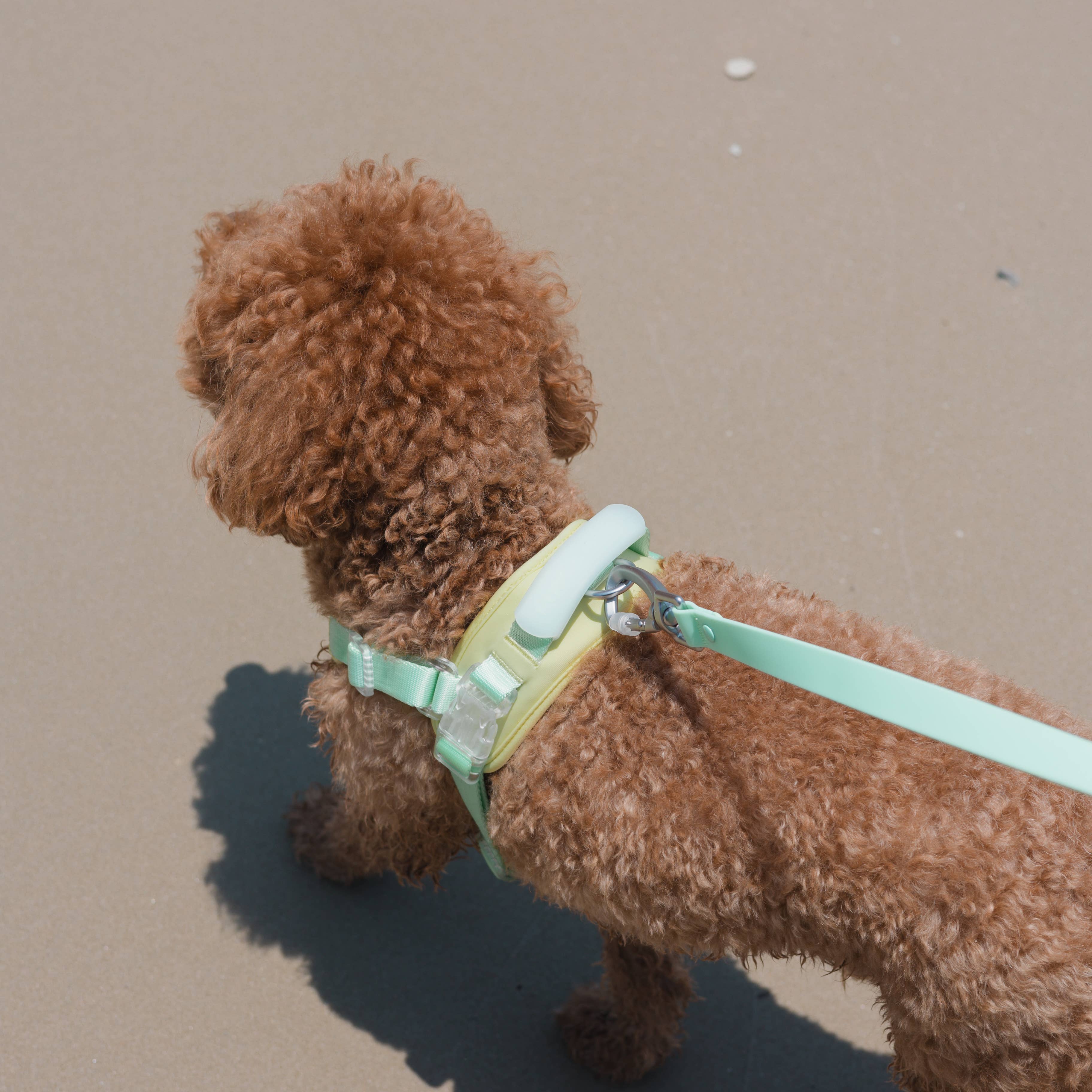 Jelly Harness | Unique Ultra Comfort Fabric